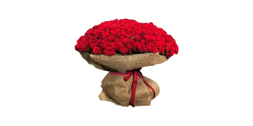 Çanakkale Çiçekçi