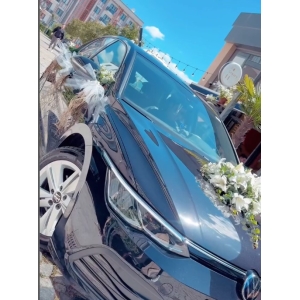 Koyu Renkli Araç Süsleme