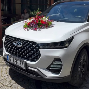 Açık Renk Araç Süsleme