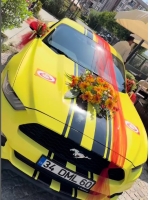 3 araç süsleme