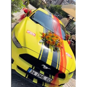 Özel Tasrım Araç Süsleme