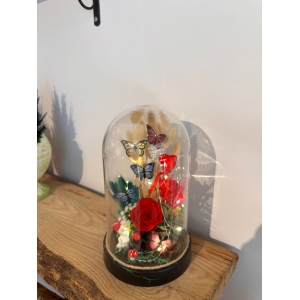 Fanusta Kırmızı Solmayan Gerçek Gül