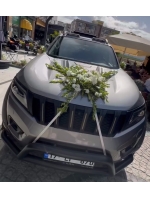 6 araç süsleme