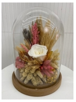  Cam Fanusta Beyaz Gül Teraryum (~ 20 cm)
