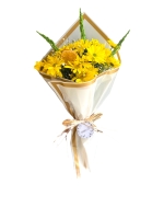 SARI PAPATYAM