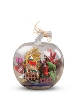 Türkçe Başlık: Elma Cam Fanusta Dekoratif Mini Terrarium